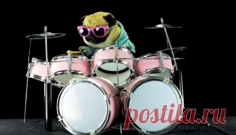 Тест на знания музыки  | Психология