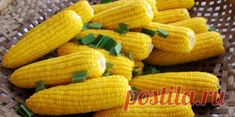 (+2) 12 продуктов, которые можно есть после шести : Диеты : Здоровье : Subscribe.Ru