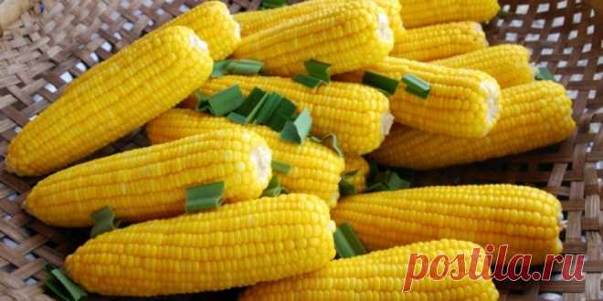 (+2) 12 продуктов, которые можно есть после шести : Диеты : Здоровье : Subscribe.Ru