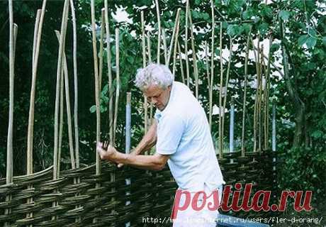 Плетеный забор для дачи