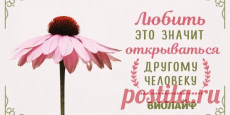 Любить — это значит открываться другому человеку Источник:... | Интересный контент в группе Народные советы