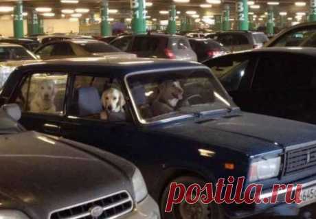 Это Россия, детка. Класс! / Всё самое лучшее из интернета