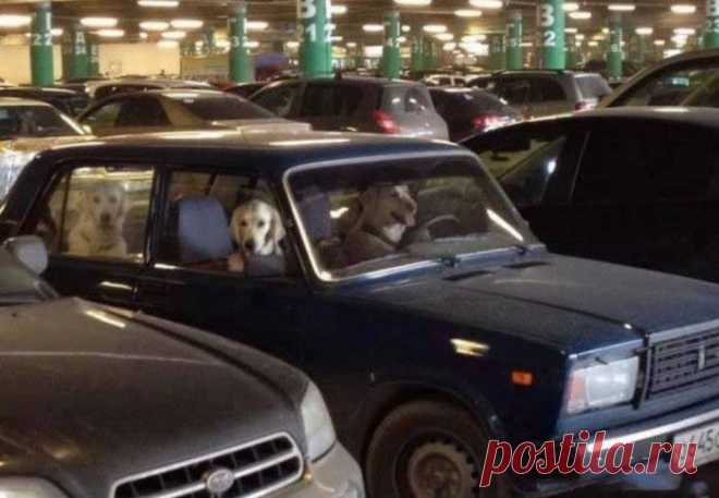 Это Россия, детка. Класс! / Всё самое лучшее из интернета