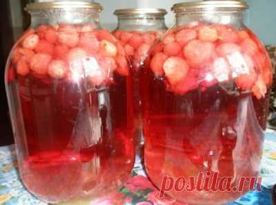 Компот из фруктов : Разное