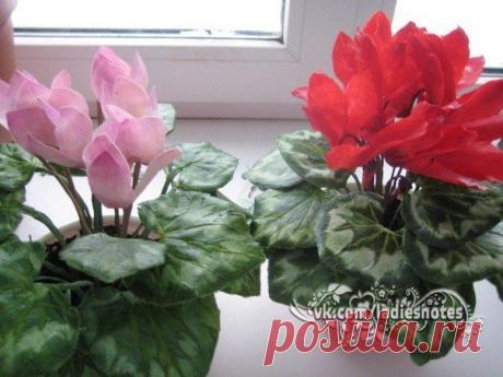 ПРОВЕРЕННОЕ СРЕДСТВО ОТ ГАЙМОРИТА