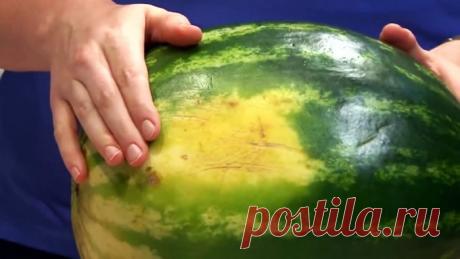 8 признаков, которые помогут выбрать сахарный арбуз почти со 100% вероятностью