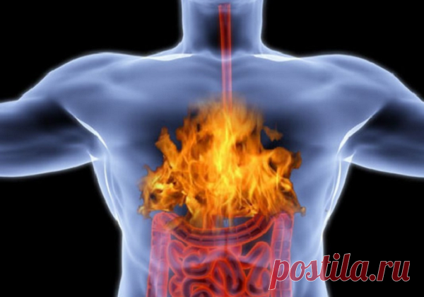 Изжога: рассказываю, что делаю для ее предотвращения. 5 полезных советов, чтобы она не появлялась | Блоггерство на пенсии | Яндекс Дзен