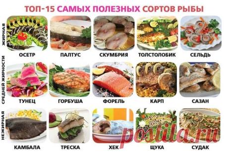 25 очень полезных кулинарных шпаргалок на каждый день для хозяек и не только! | Naget.Ru