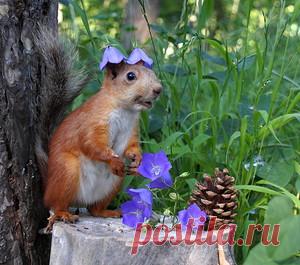 DSC00718.JPG Фото, автор s.bynebwbz на Яндекс.Фотках