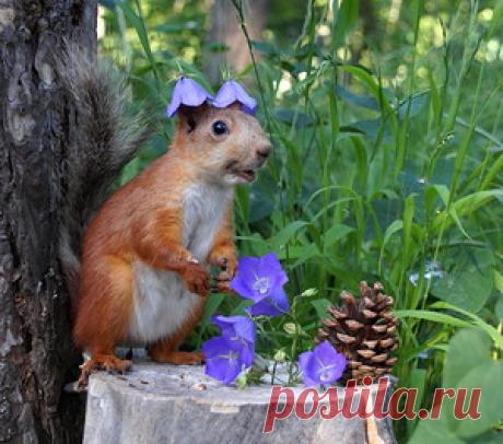 DSC00718.JPG Фото, автор s.bynebwbz на Яндекс.Фотках