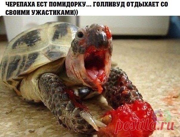 Смешные картинки - 514