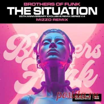 Brothers Of Funk - The Situation (Mizzo 2K24 Remix)
