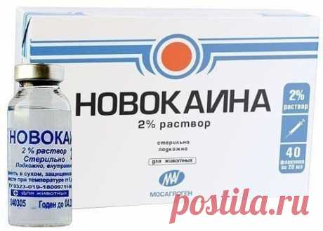 Волшебные свойства новокаина Когда-то в 80-х годах прогремела новость – новокаин продлевает жизнь на 20% и советский народ принялся скупать его в аптеках, вытряхивать ампулы в столовую ложку и слизывать, запивая чистой водичкой…
…