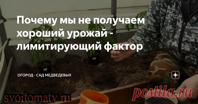 Почему мы не получаем хороший урожай - лимитирующий фактор Здравствуйте, согласитесь, что каждый огородник мечтает о рекордных урожаях и для их достижения годов кормить свои растения большим количеством разных удобрений.
Но зачастую приходится слышать от некоторых огородников такой вопрос. Я вроде кормлю и тем и тем, ухаживаю, а урожай и качество почему-то оставляет желать лучшего.
Давайте разбираться, почему так может происходить.
Видео ▼