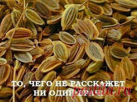 УКРОП, МЁД И ВАЛЕРИАНА