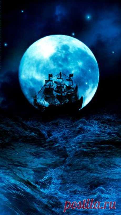 d3ffd1183f0544add0f9a4396fe7652b.jpg (300×533)