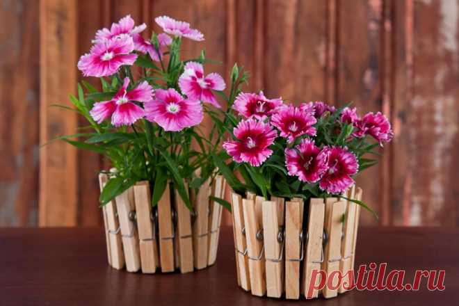 Поделки из прищепок своими руками — Сделай сам, идеи для творчества - DIY Ideas