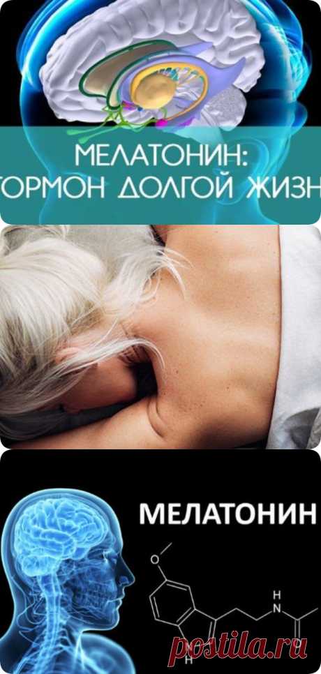 Мелатонин — залог долголетия. Способ поднять его уровень в организме - interesno.win
