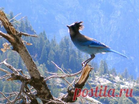 птичий рай аггельский национальный парк: 15 тыс изображений найдено в Яндекс.Картинках