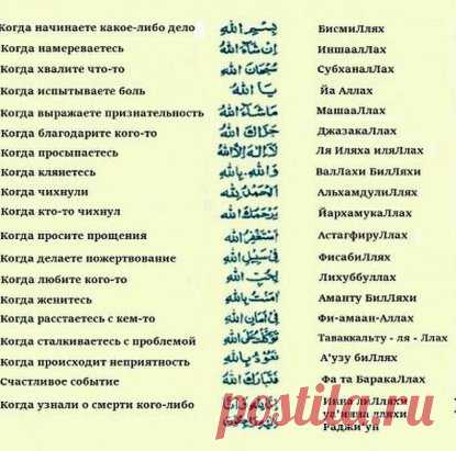 (33) Одноклассники