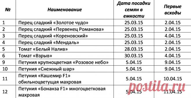 Бизнес на рассаде