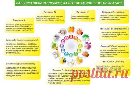 Лучшие витаминно-минеральные комплексы для мужчин после 40 лет