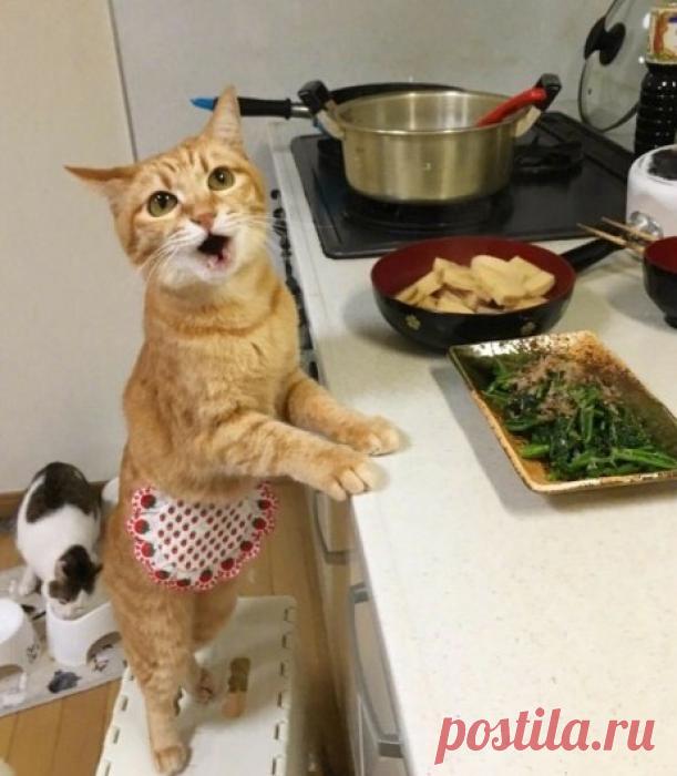 Завтрак готов! Приглашаю всех к столу!