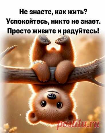 Выпуск №6420 - выпуск анекдотов сайта вокруг смеха