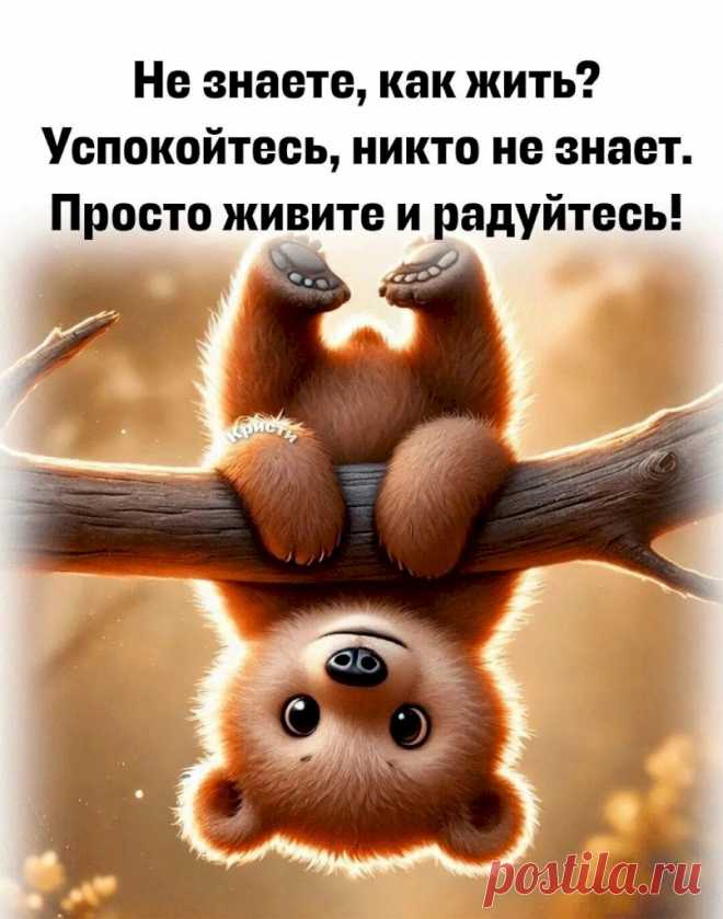 Выпуск №6420 - выпуск анекдотов сайта вокруг смеха