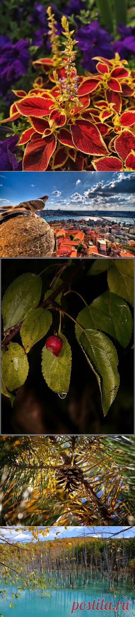 Интересные новости