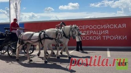 Дмитрий Киселёв на ПМЭФ проехал на русской тройке и рассказал, почему это часть национального ДНК. На ПМЭФ-2026 открыта площадка русской тройки. Здесь можно посмотреть на один из самых узнаваемых символов России и прокатиться в повозке, запряжённой тремя орловскими рысаками. Генеральный директор МИА «Россия сегодня» Дмитрий Киселёв рассказал RT о создании и поддержке Всероссийской федерации русской тройки. Читать далее