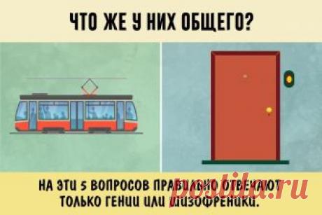 Самый быстрый тест на гениальность или шизофрению » Notagram.ru Самый быстрый тест на гения или шизофреника. Метод противопоставлений тест. Ассоциативные тесты на гениальность. Визуальные тесты на предрасположенность к шизофрении. На эти вопросы правильно отвечают только гении или шизофреники.