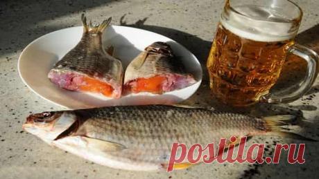 Как вялить пойманную рыбу – Рыбалке.нет
