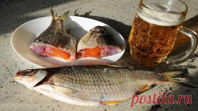 Как вялить пойманную рыбу – Рыбалке.нет