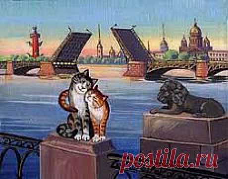 смешные картинки питерских котов - Поиск в Google