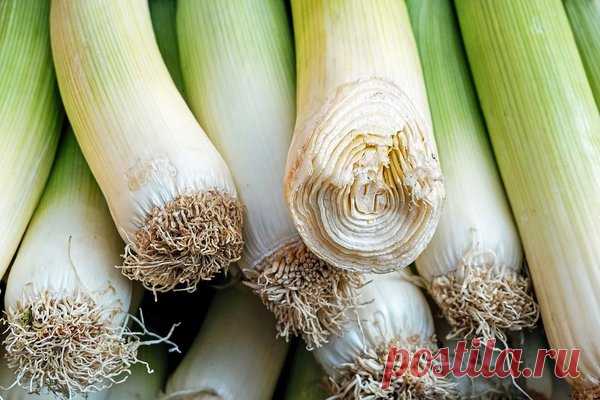 Убираем лук-порей. Варианты хранения | Дачная жизнь | Яндекс Дзен