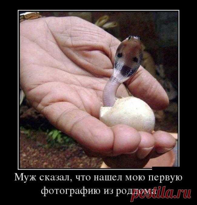 Смотрим и наслаждаемся - демотиваторы!
