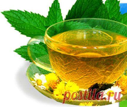 (+1) тема - Пейте зеленый чай! | КРАСОТА И ЗДОРОВЬЕ