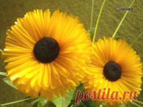 Цветы из коктейльных трубочек мастер класс