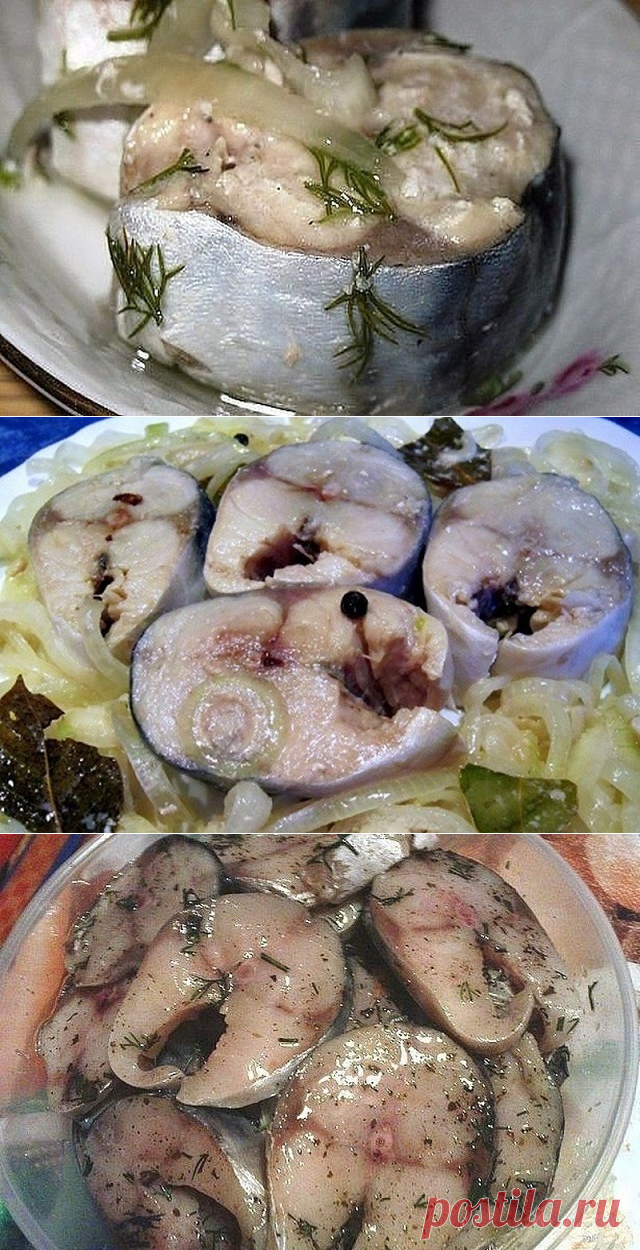 (1) Одноклассники