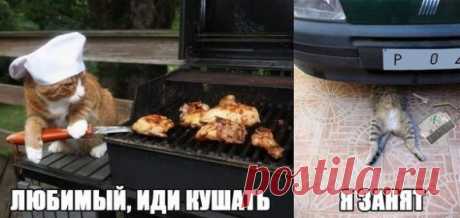 Подборка автоприколов