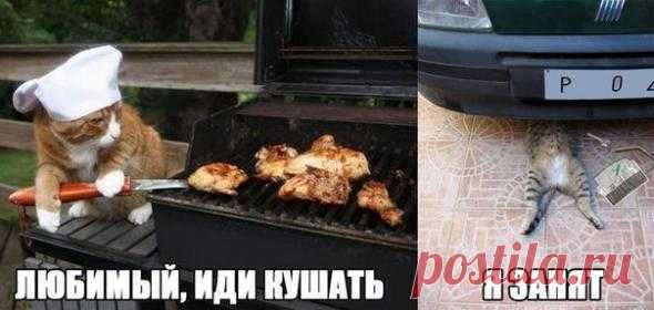 Подборка автоприколов