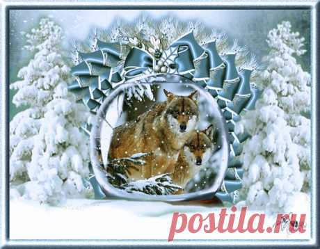 Яндекс.Фотки