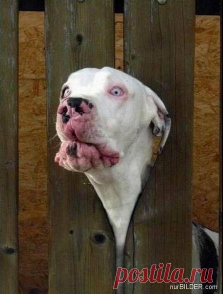 Это больно !