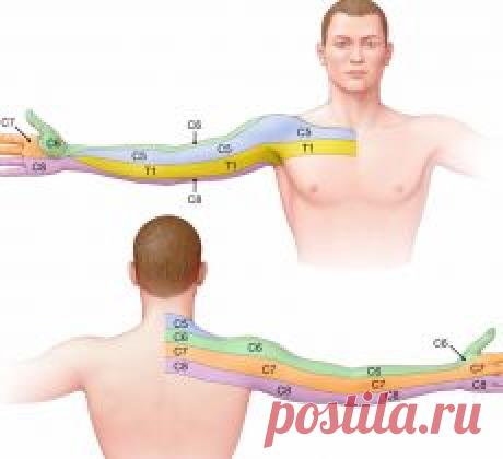 ❀ Бантики из лент. Божественное хладнокровие. Оберег ангелов. Баклажановые котлетки. Закупорка пор. Безопасные подкормки