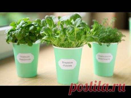 Красивыи и полезныи декор — Яндекс.Видео