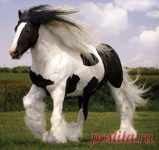 Интересные новости