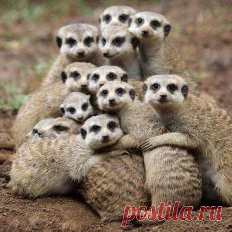 в тесноте да не в обиде