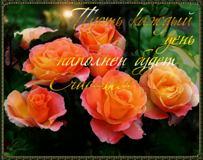 пусть каждый день приносит радость