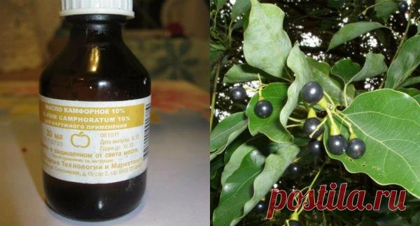 МОРЩИНИСТАЯ ШЕЯ, ДРЯБЛЫЕ РУКИ И РЫХЛЫЕ БЕДРА В ПРОШЛОМ! ЭТО СРЕДСТВО ОГОРЧИТ ПЛАСТИЧЕСКИХ ХИРУРГОВ